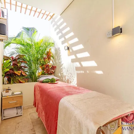 Apartamento Apartamento Con Jacuzzi Privado - Dominique